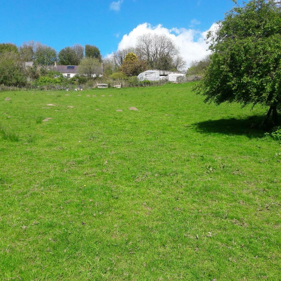 Gernos Farmhouse Llandysul Luaran gambar